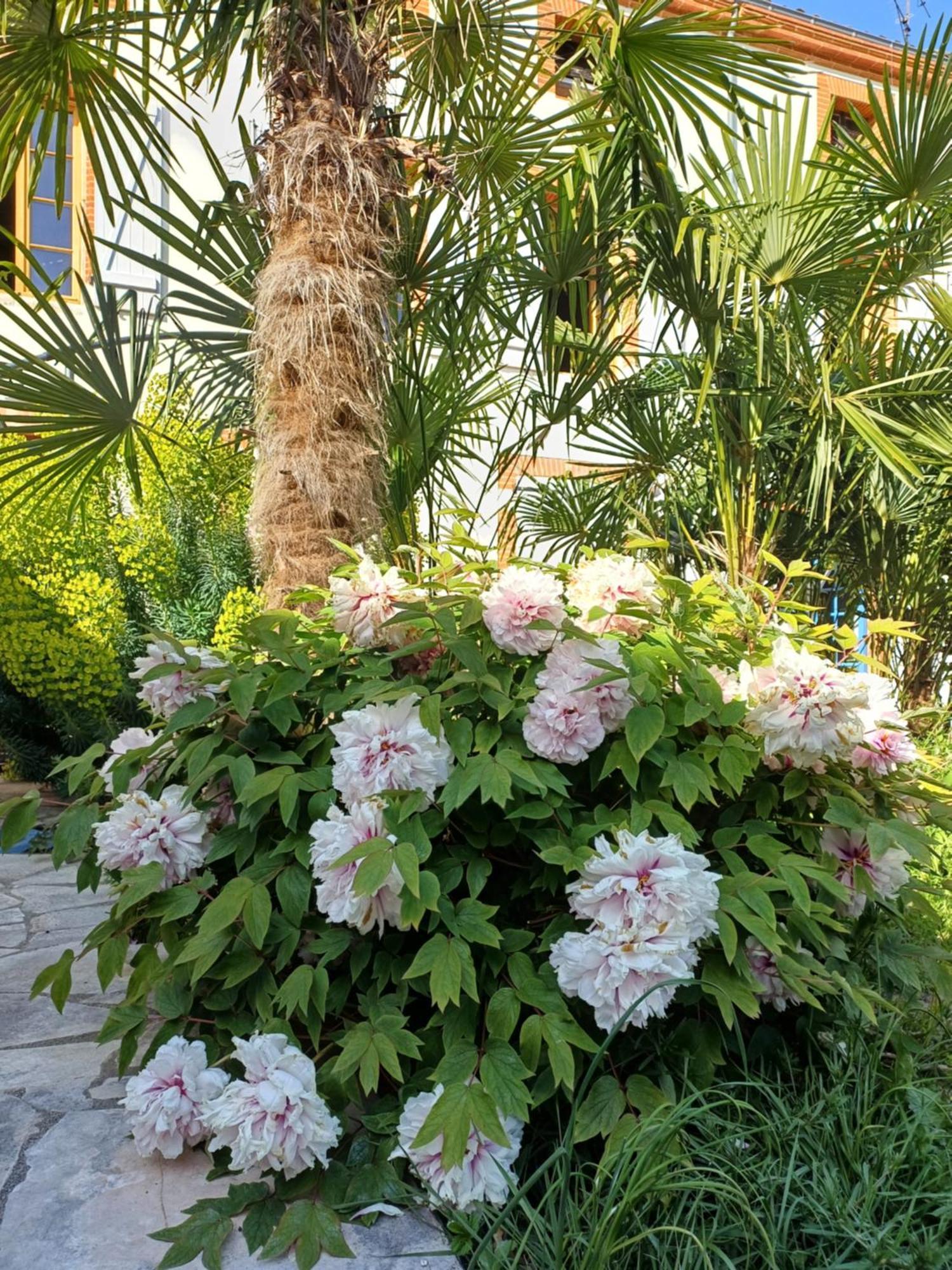 Le Relais De Lezat Hotel Buitenkant foto